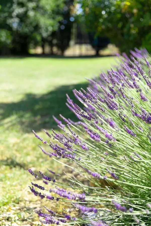 Holiday home Mas Coeur Provence Calme Beaute Grand Parc France