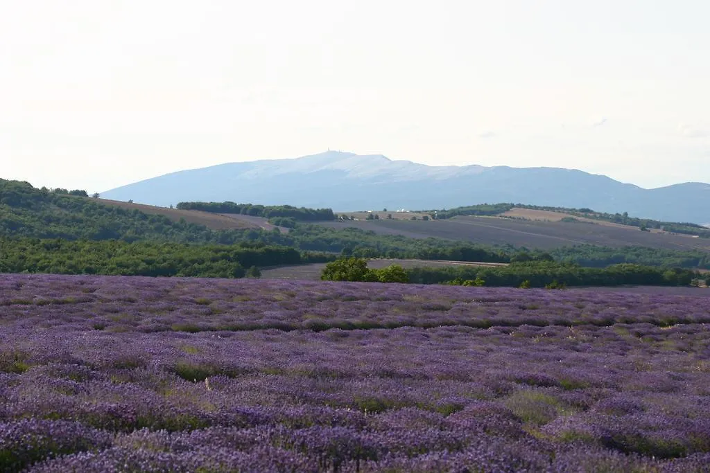 Mas Coeur Provence Calme Beaute Grand Parc 0*, Pernes-les-Fontaines